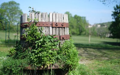 « La Belle Parcelle » : projet de territoire artistique, social et viticole